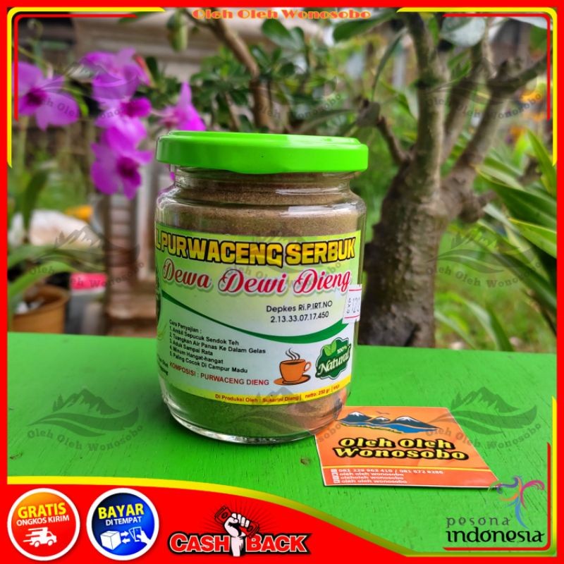 

PURWACENG BUBUK DEWA DEWI ASLI DIENG / PURWOCENG MURNI ASLI DIENG