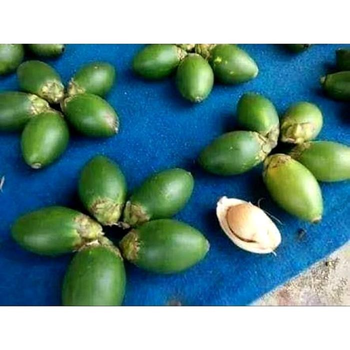

Pinang muda per 500 gram ternurah utuk meningkatkan setamina pria Buah Shop with