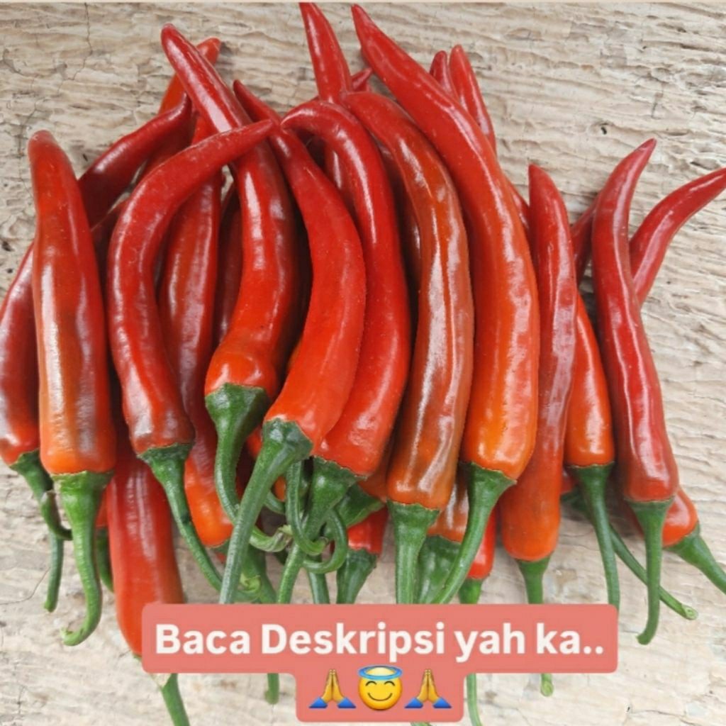 

CABE MERAH BESAR 500 gr