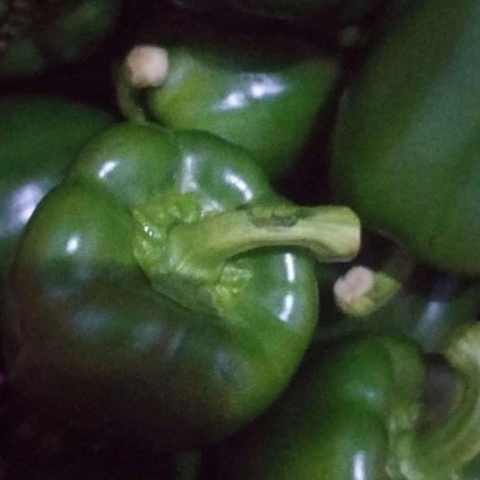 

Promo paprika hijau - 0.5 kg