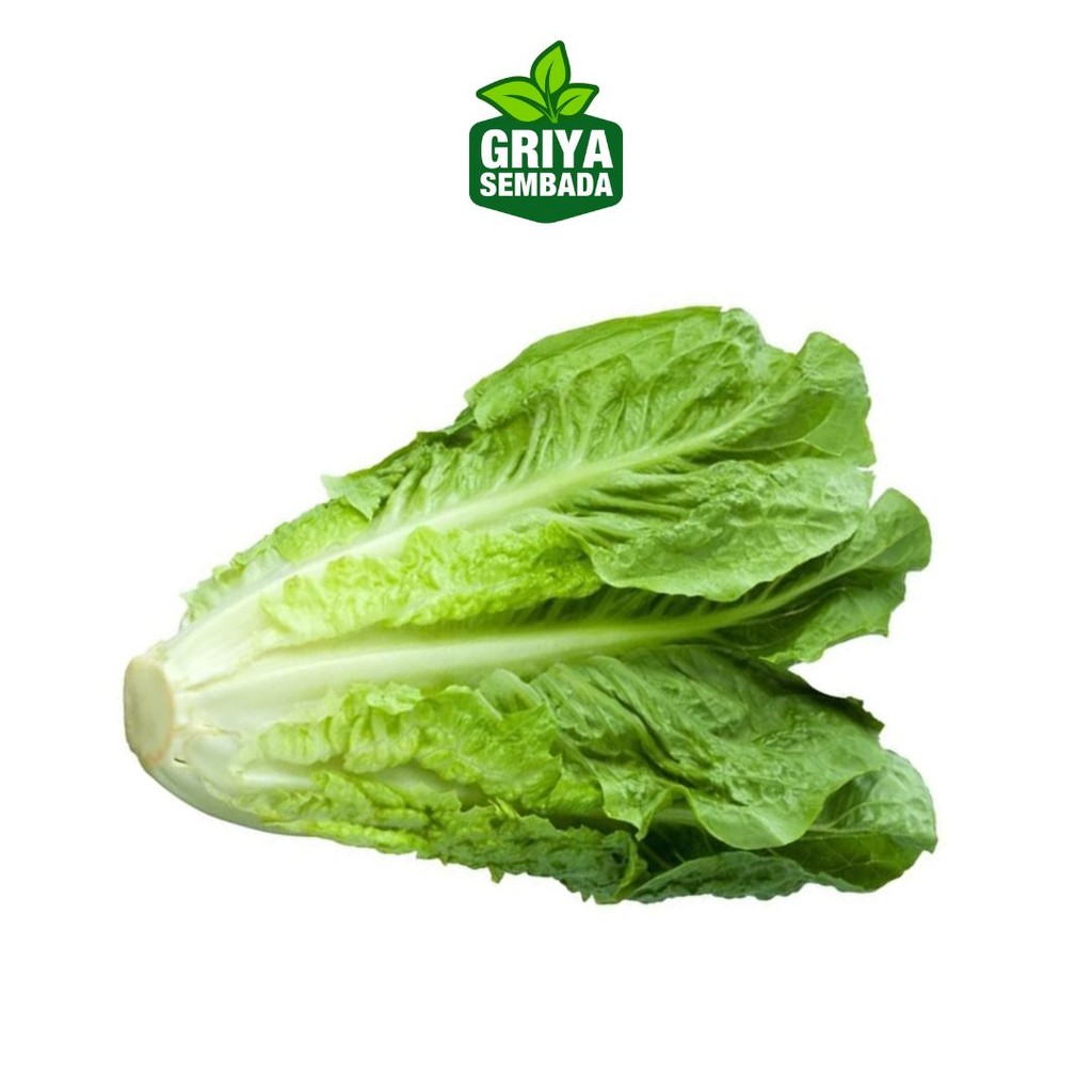 

Sayur Romaine Selada Romain 100gr/200gr Sayur Salad Kirim Instant /Sameday/Grabfood