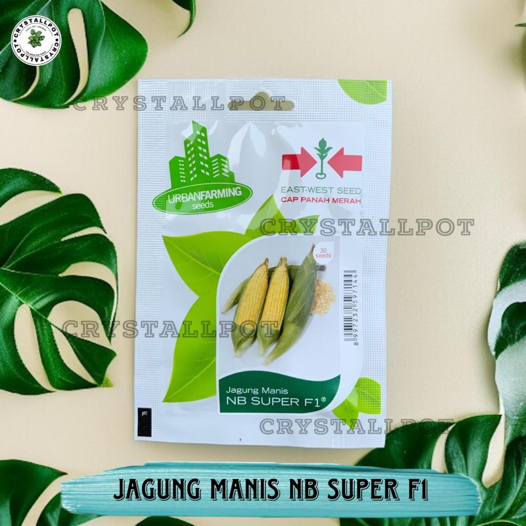 TERLARISBenih Bibit Jagung Manis NB Super F1 Cap Panah Merah - JAGUNG MANIS NB SUPER F1 EAST WEST SE
