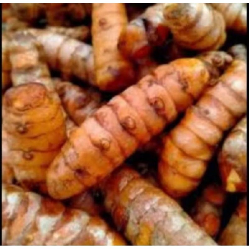 

Bumbu Utuh kunyit koneng 500gr