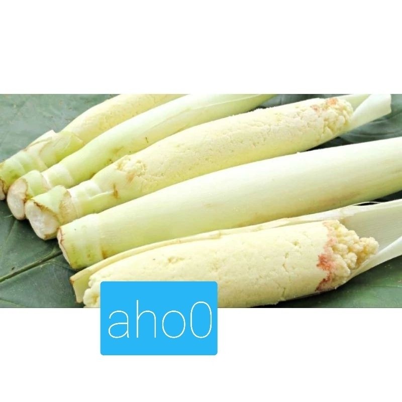 

trubuk sayur satu ikat trubuk bunga trubuk ..