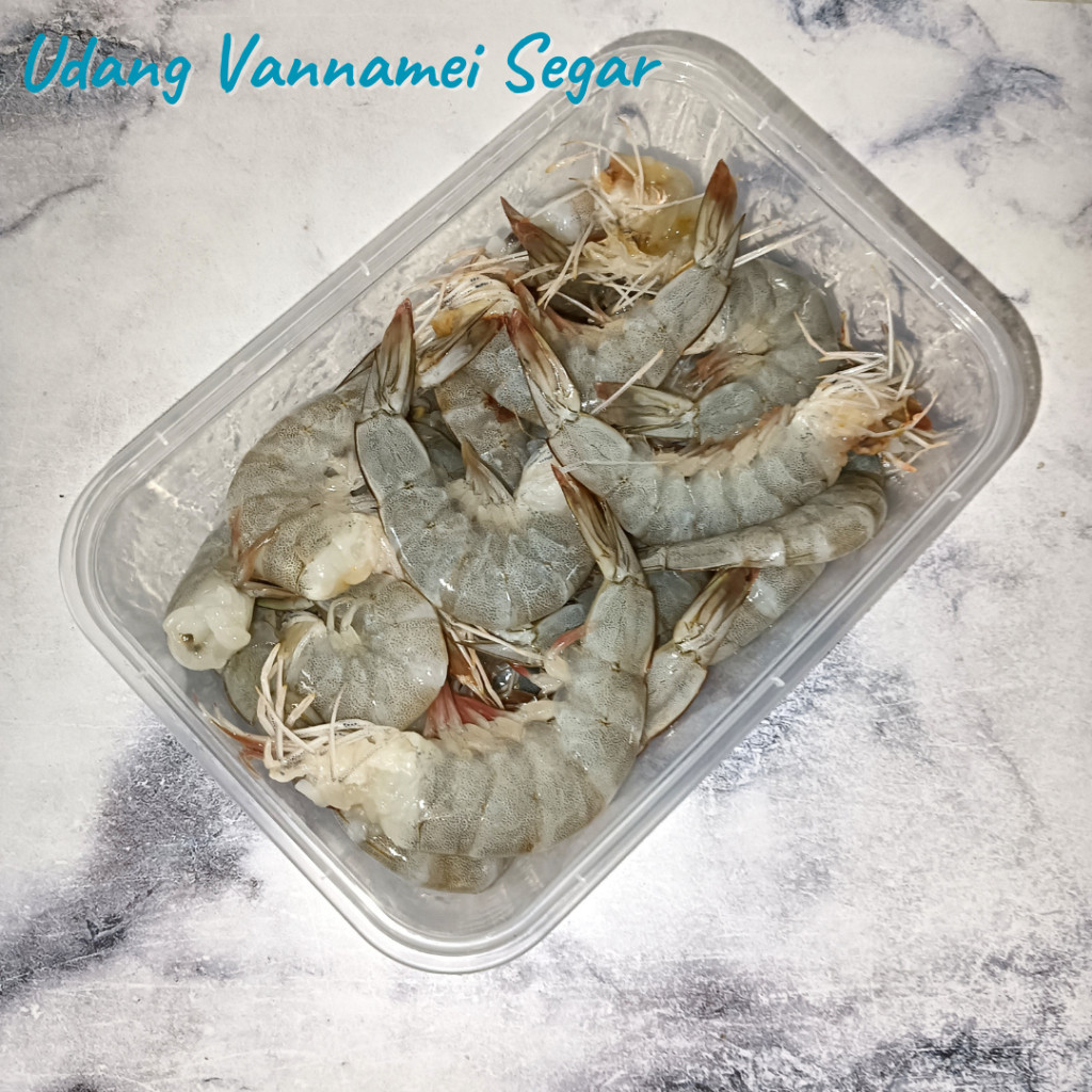 

Udang Vannamei Segar 500gr - 1 kg