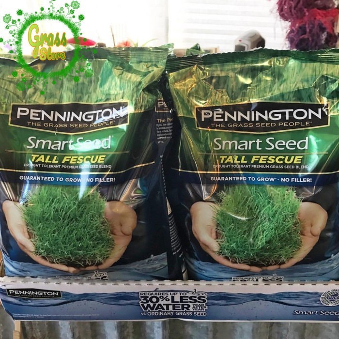 benih rumput jepang 10g - biji rumput jepang - bibit rumput jepang - Bibit Rumput Jepang // RUMPUT H