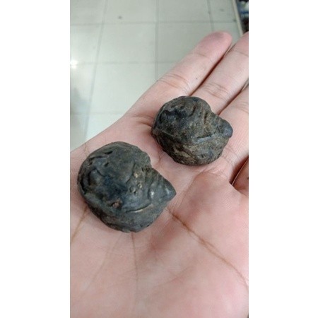 WA11N kol Buntet asli sepasang