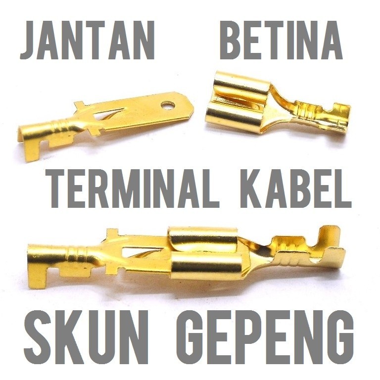 SKUN TERMINAL GEPENG COWOK JANTAN kuningan male cowo laki scun klem kabel soket socket motor