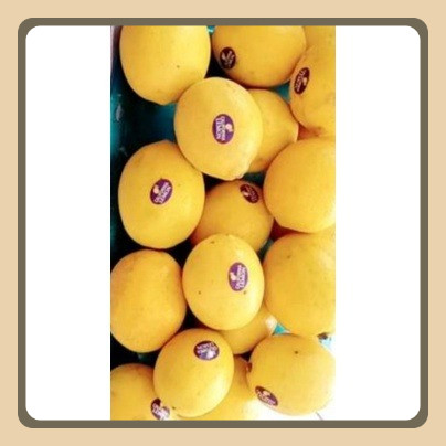 

EYP LEMON CALIFORNIA 1kg HALAL & PIRT ada GARANSI GANTI