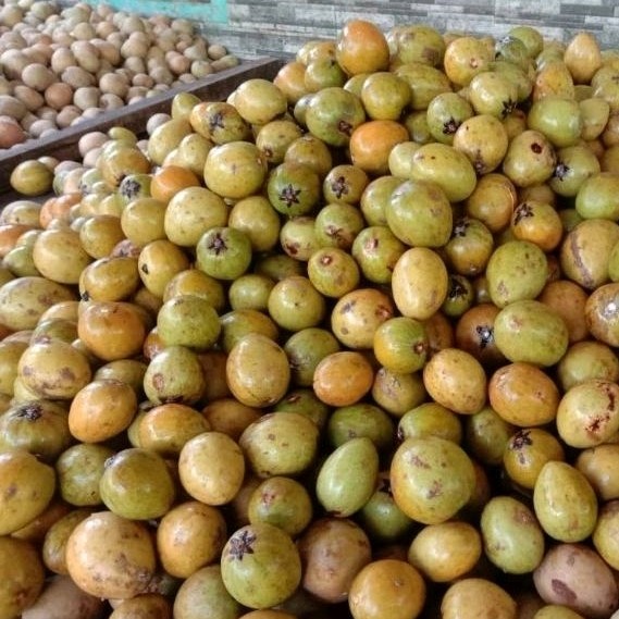 

ISM - Buah Sawo Madu Mentah 5Kg