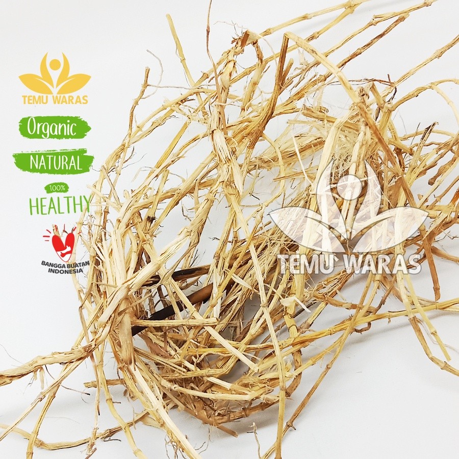 

Akar Alang-alang 500gr atau ilalang Kering Asli dan Organik Grade A!