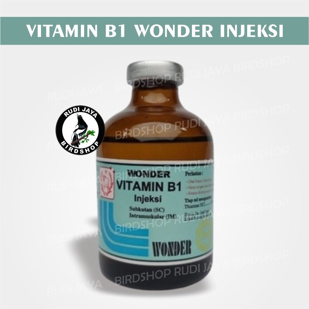 VITAMIN B1 WONDER INJEKSI VITAMIN B SAPI KAMBING KUCING ANJING TERNAK MEMENUHI KEBUTUHAN VITAMIN