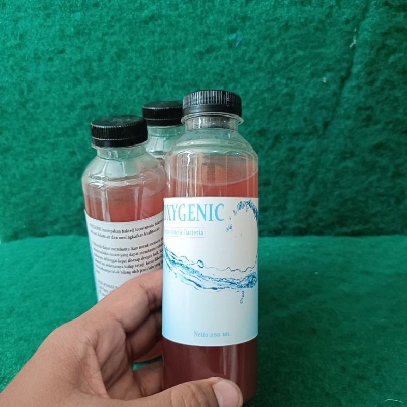 oxygenic 250 ml photosynthetic bacteria bakteri starter probiotic