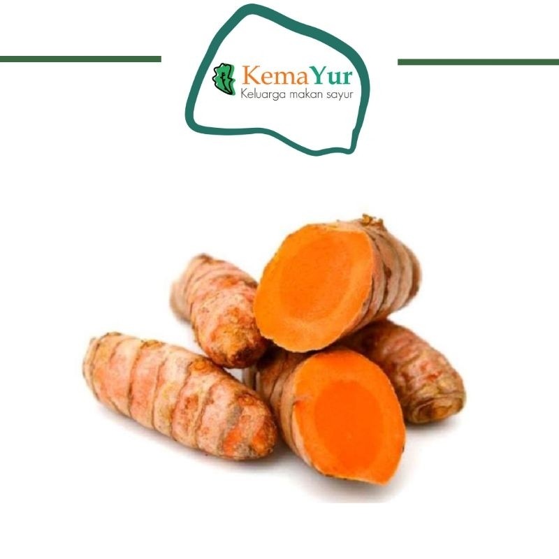

KUNYIT REMPAH RESEP JSR GROSIR 1KG