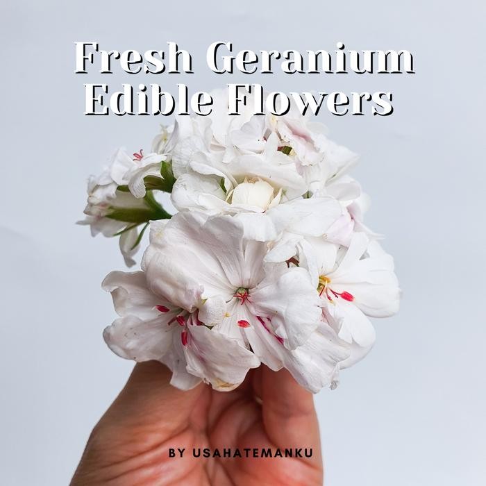 

Mixed Edible Flowers Putih White - 20pcs