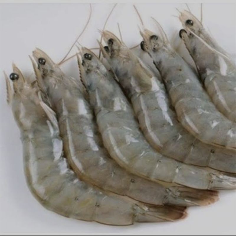 

Udang Vaname Segar 1/2 kg isi -+20 ekor