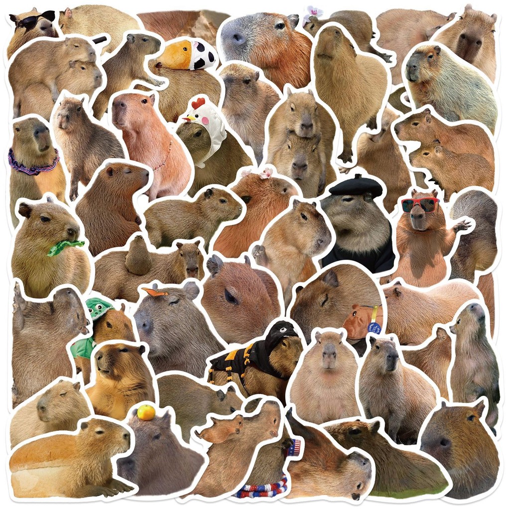 

10/50PCS Cute Capybara Animals Graffiti Stickers DIY Phone Guitar Laptop Notebook Suitcase Waterproof Cartoon Sticker Kids Toy