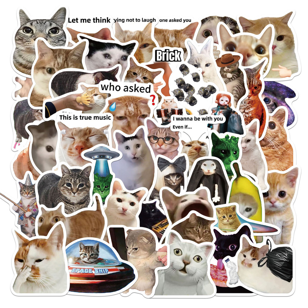 

50PCS Creative Network Popular Cat Meme Collection Hand Account DIY Graffiti Stickers Water Cup Skateboard Stickers Toys
