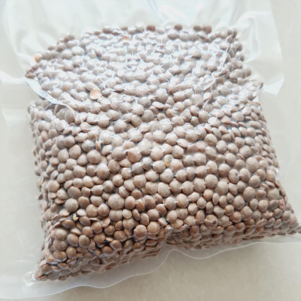 

Brown Lentil / Dal ( Kacang Lentil Cokelat untuk Sup & Masakan Vegetarian ) - 500g