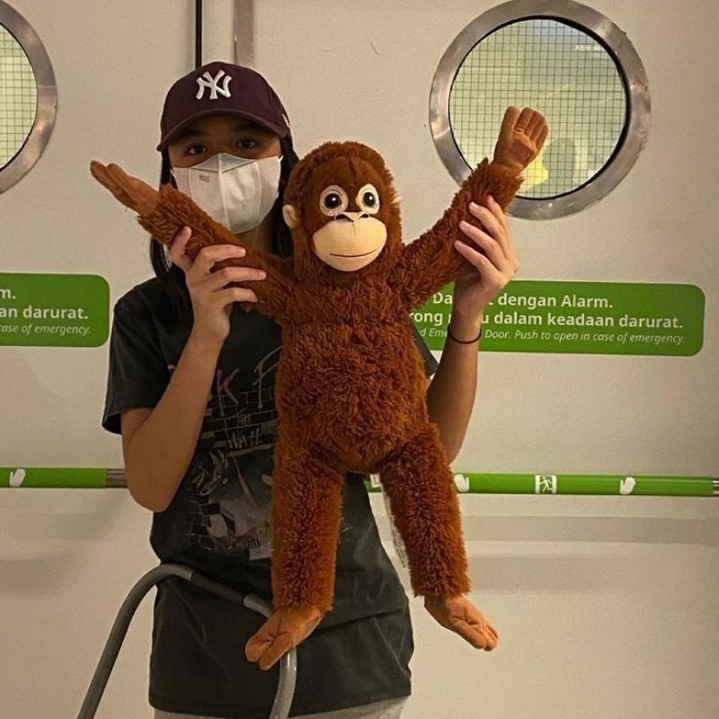 Boneka Monkey Ikea Boneka Orang Utan Boneka Monyet Bahan Halus SNI