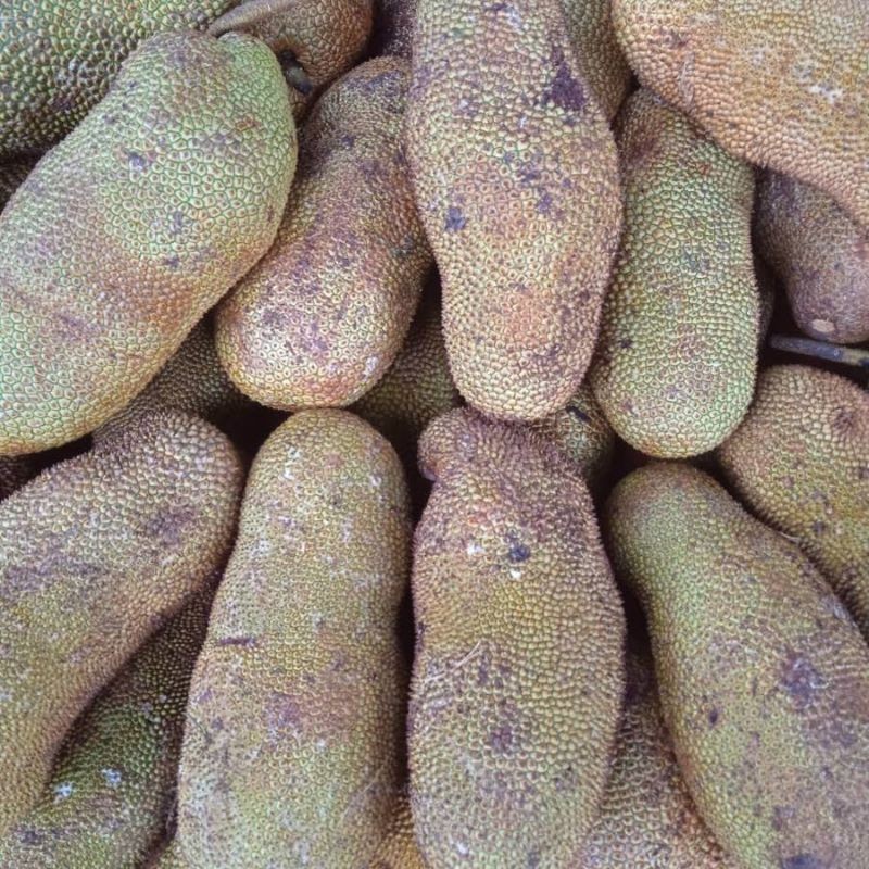 

Sayur Tiwadak Muda / Ciwadak Muda