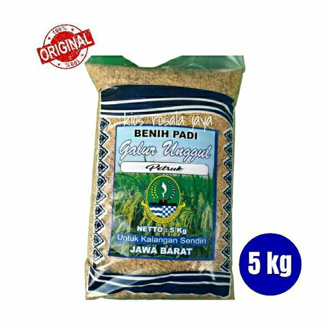 Benih Padi Unggul PETRUK 5 kg Umur Genjah