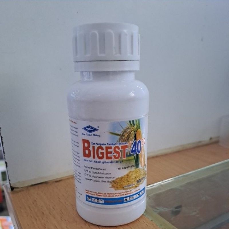 BIGEST 100 ML ORIGINAL BIGEST ZPT