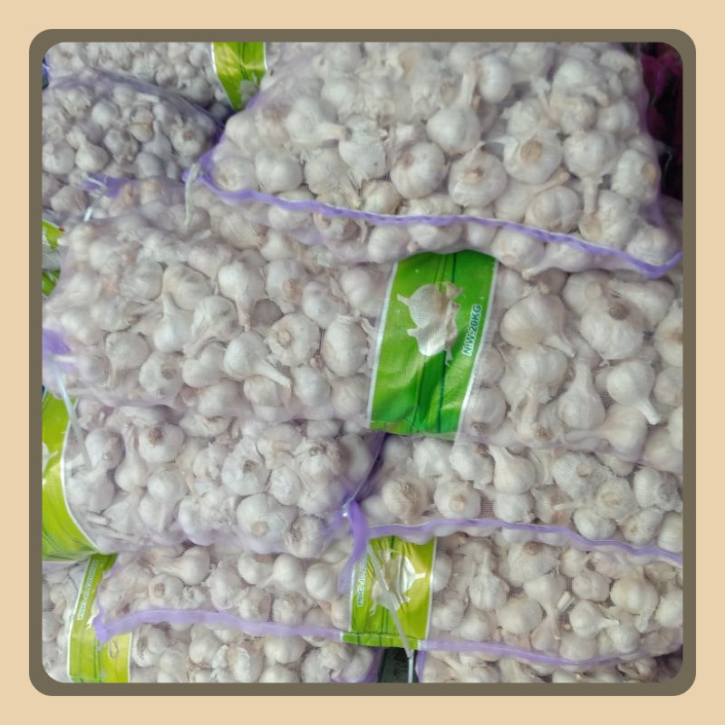 

Bawang Putiih Kating Kotoran Kering 1kg/1000gram