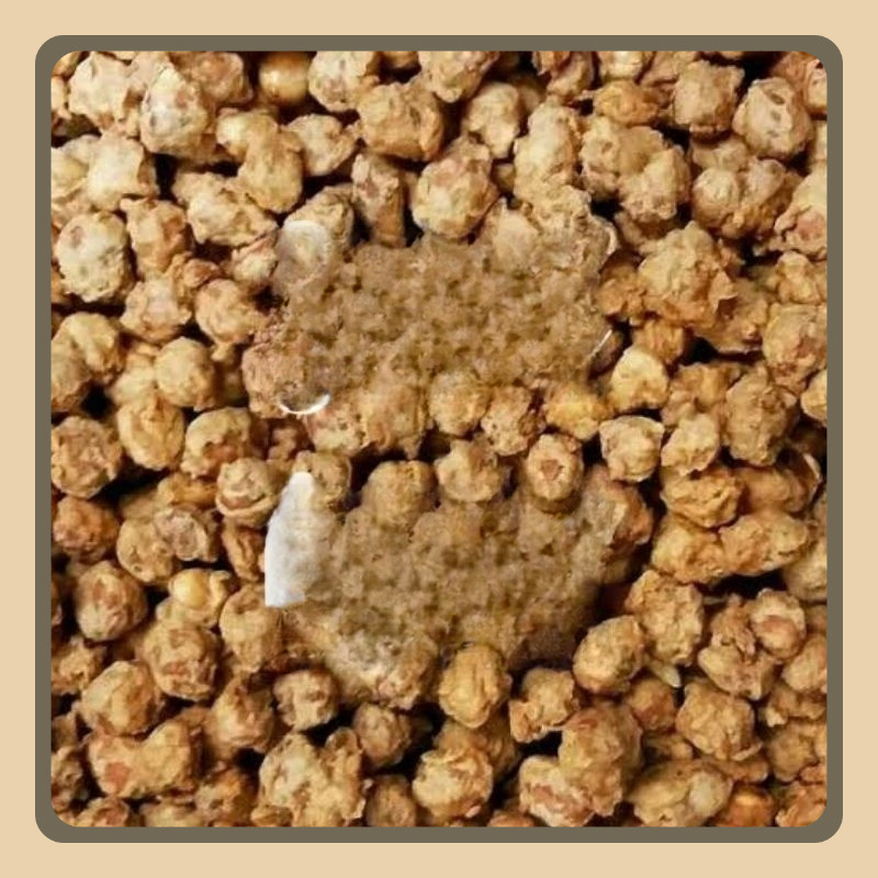 

Kacang telur medan 1 kilogram grosir