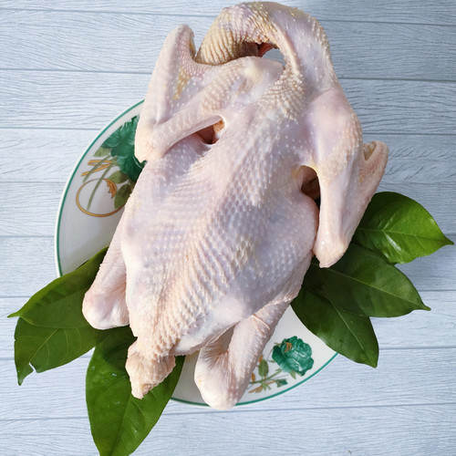 

Ayam Kampung Segar utuh 1 kg