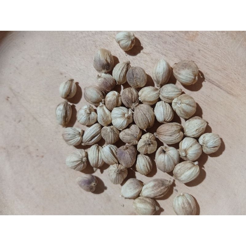 

Kapulaga Kering 100gram Rempah JSR Empon-Empon Bumbu Tradisional Bumbu Pawon