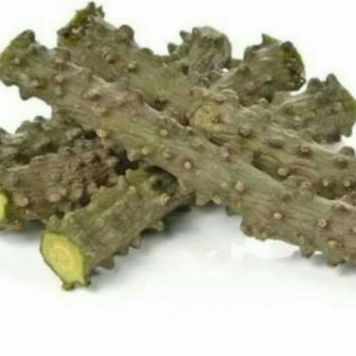 

Hafika Brotowali Segar Asli herbal alami sejuta manfaat 500 gram