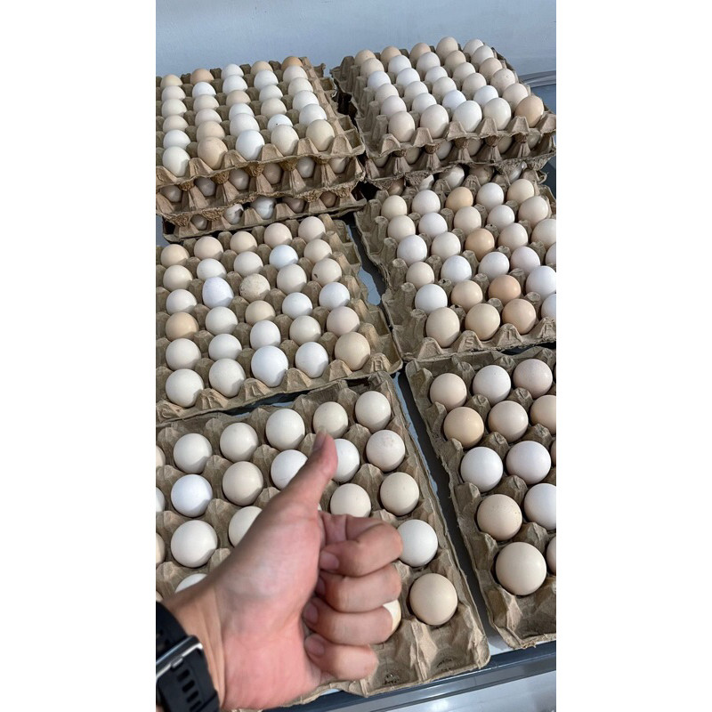 

telur kampung asli medan