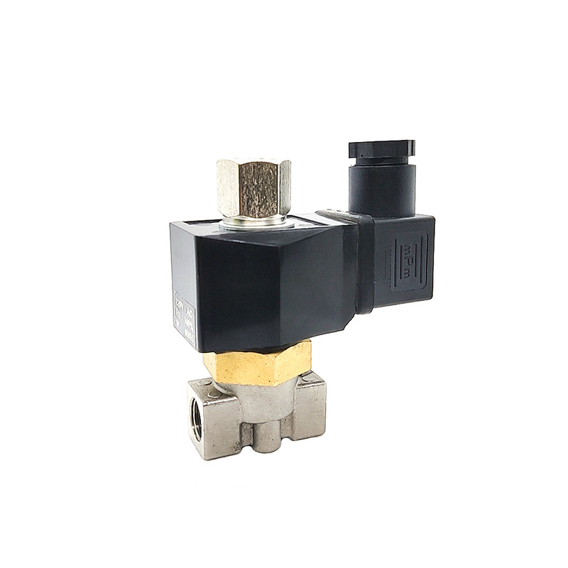 1/8" 1/4" stainless solenoid valve Normally Open Stainless Steel Solenoid Valve 110V 220V 12V 24V