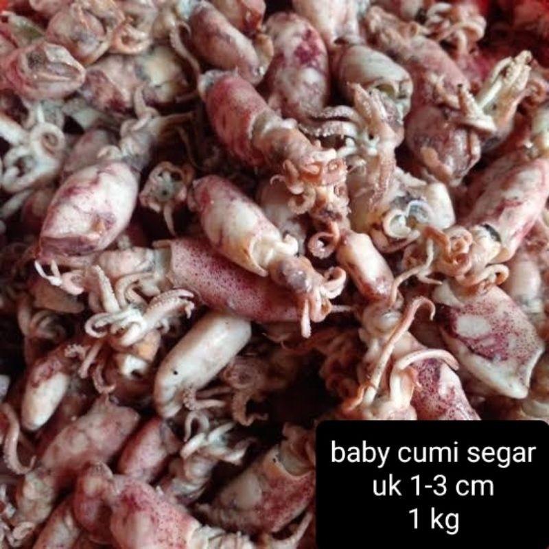 

cumi asin rebus size baby 1 kg