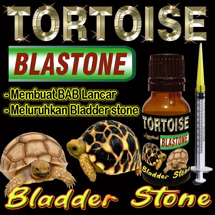 TORTOISE BLASTONE CAIR MENGOBATI BLADDER STONE BS REPTILE MELURUHKAN URATES KURA-KURA DARAT MENYEMBU