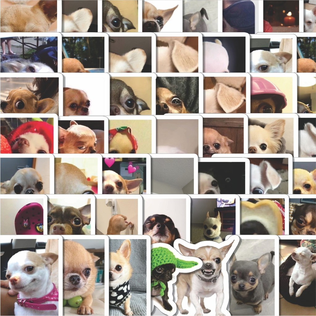 

Stiker Cutting Pack Stiker Cihuahua Isi 100Pcs Series Aesthetic Lucu Keren Untuk Koper Bahan Vynil