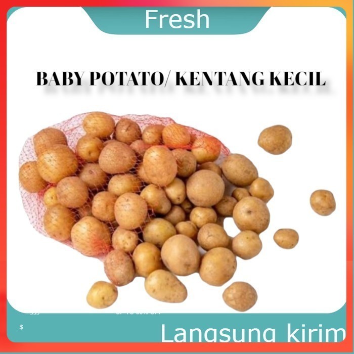 

Baby Potato KENTANG KECIL Kentang Rendang Sayur Mayur Buah Buahan Bersih Fresh
