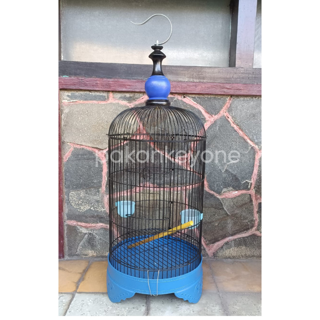 Sangkar Burung Tanggung WARNA D27 T75 Middle Kecil Kandang Ram Besi Tebal Kenari LoveBird Pleci Truc