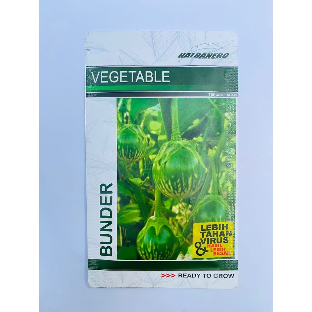 Benih sayur terong glatik lalap BUNDER isi 10gr dari HALBANERO