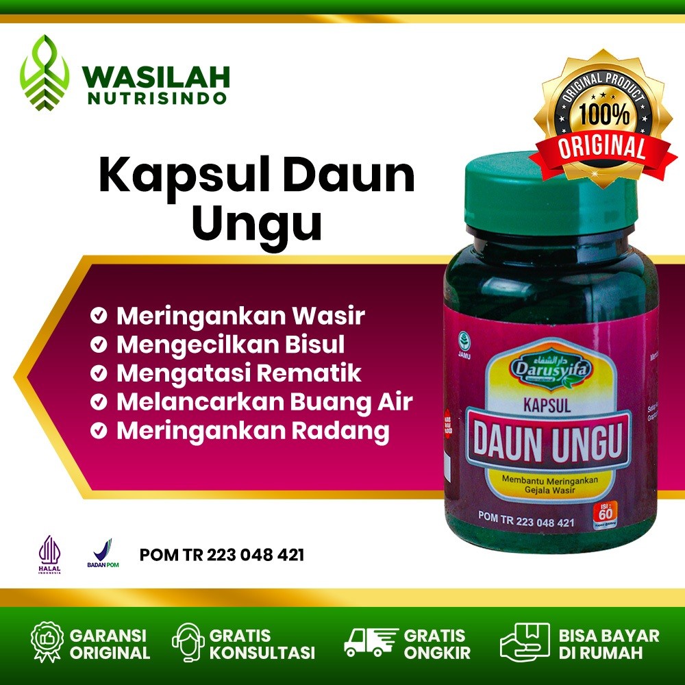 Kapsul Daun Ungu DARUSYIFA | Asli Original Kapsul Ekstrak Daun Ungu | Obat Ambeien dan Wasir Paling 