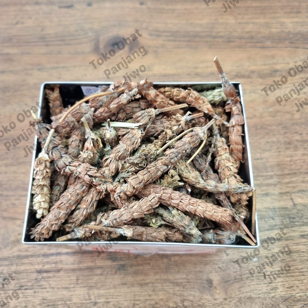 

Xia Ku Cao / He Ko Chao / Xia Gu Cao / 夏枯草 / Prunella Spike Dried Organik