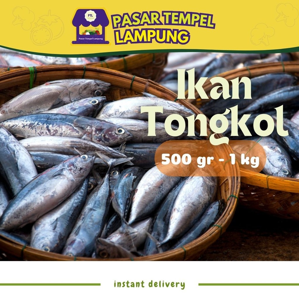 

Ikan Tongkol Seafood Ikan Laut Tongkol Pasar Tempel Lampung