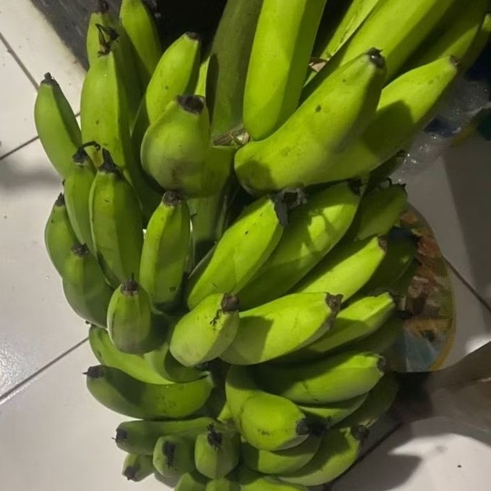 

Buah Pisang Mentah R ML Biru Pisang Bangkaulu Fresh