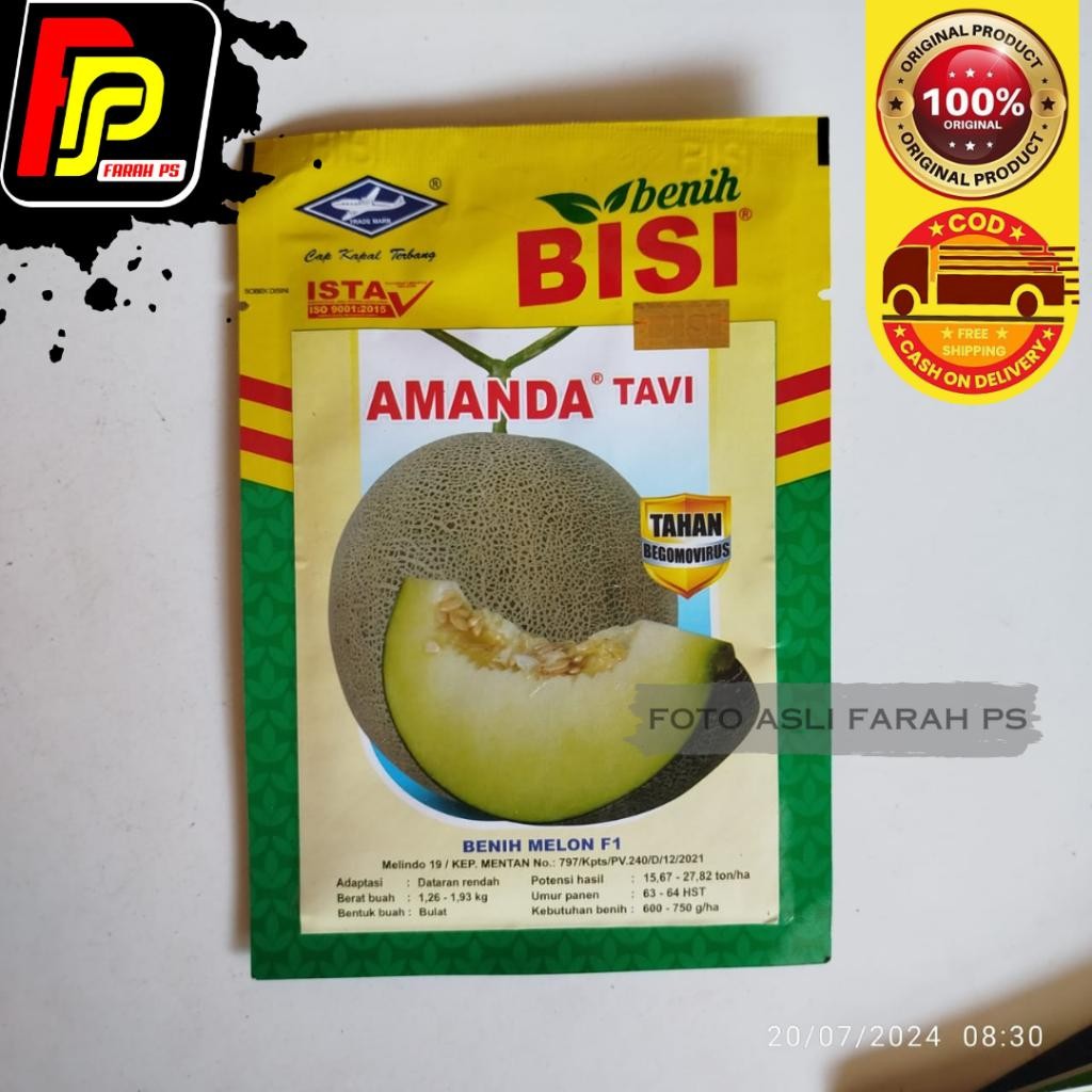 Benih Bibit Melon Amanda Tavi F1 Isi 550 Biji - Bibit Melon Bisi