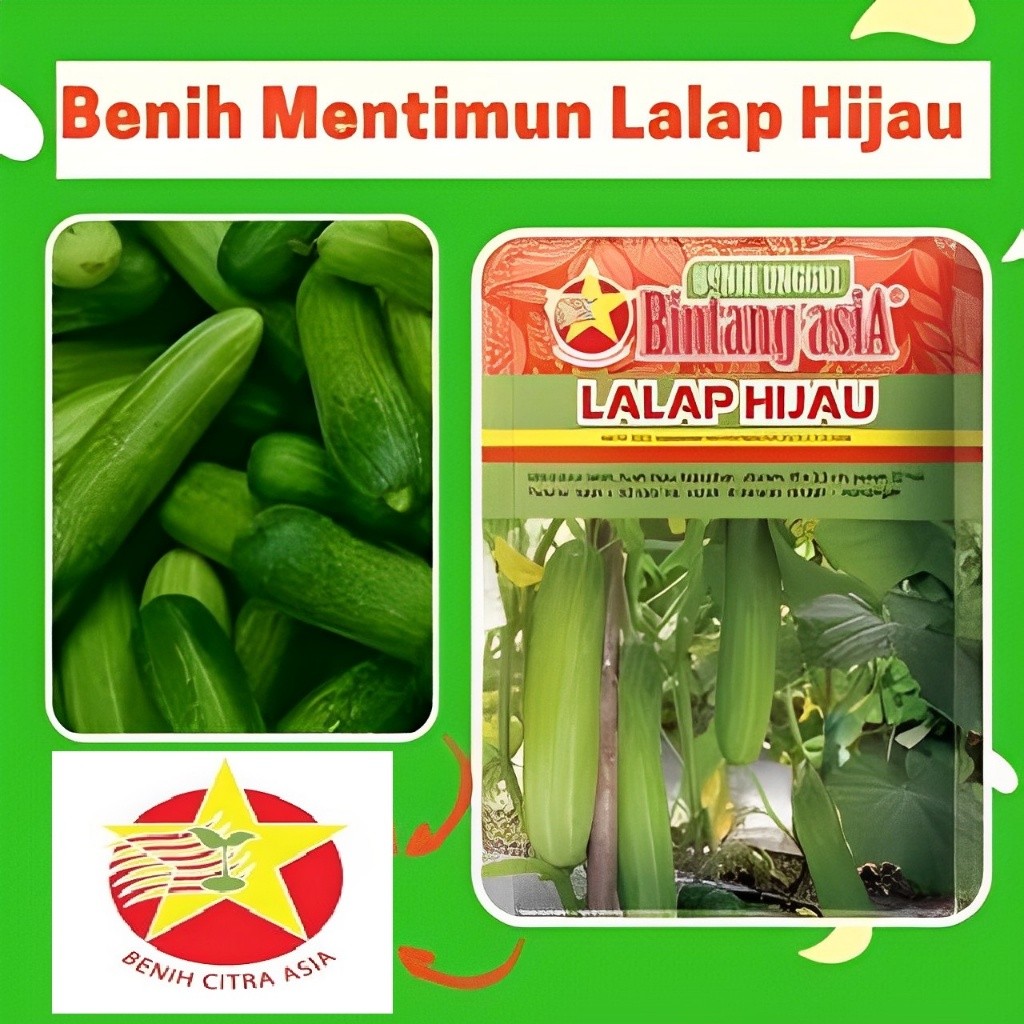 Benih Mentimun Timun LALAP HIJAU 20 Gram Cap Bintang Asia