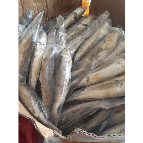 

Otak-otak bandeng isi 2pcs