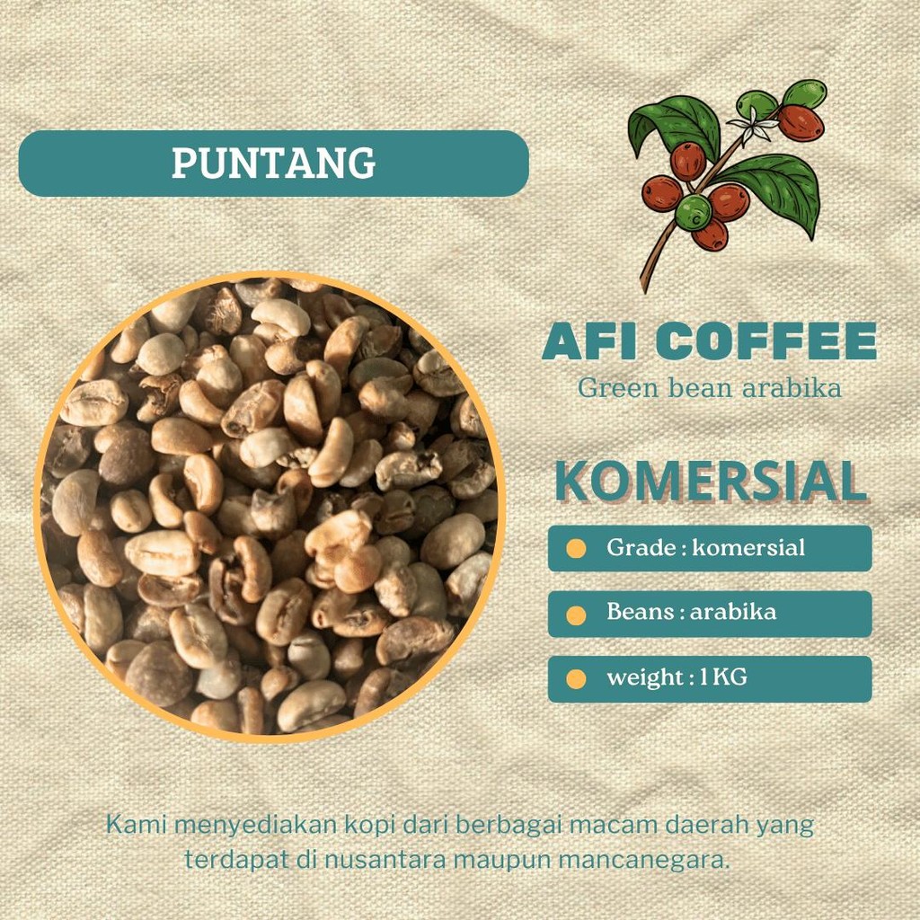

Green bean arabika komersial Puntang | biji kopi mentah 1kg