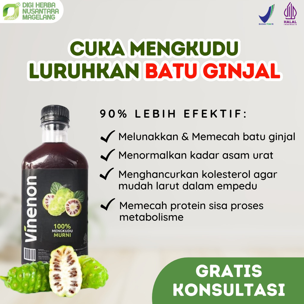 

[BPOM RESMI] Vinenon cuka mengkudu murni ampuh hancurkan batu ginjal & melancarkan purin dalam tubuh