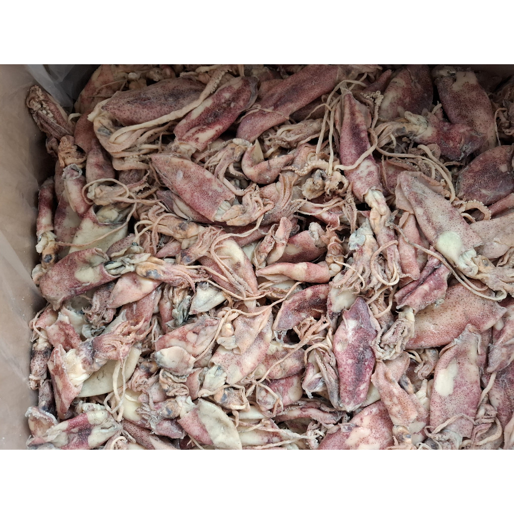 

(Officia Numyza) Cumi Asin 1 Kg Kering Cumi Pen